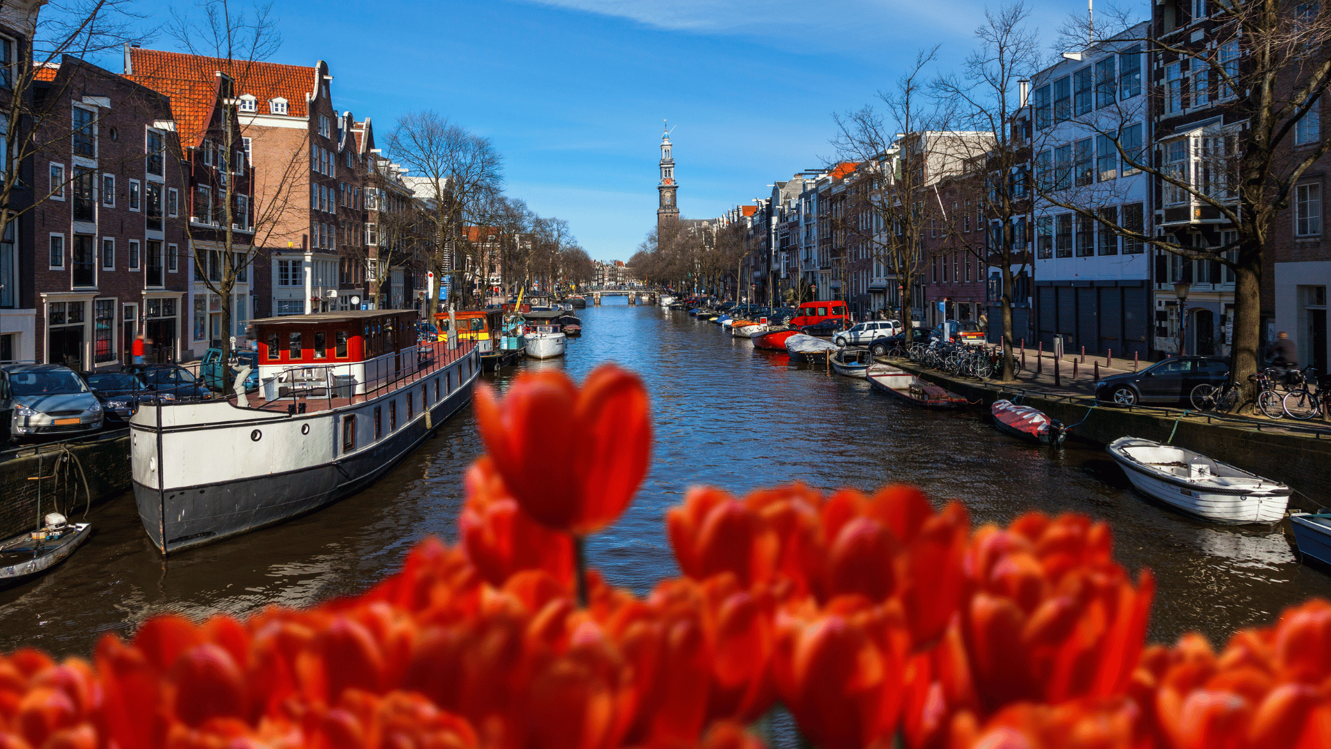 ferry-to-amsterdam-information-routes-ferries-ferryscanner